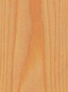 Lärche
